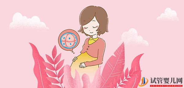 试管婴儿助孕的八大详情流程(图1) 试管婴儿助孕的八大详情流程(图1)