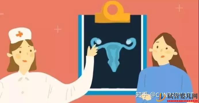 做试管大概需要多少钱(图1) 做试管大概需要多少钱(图1)
