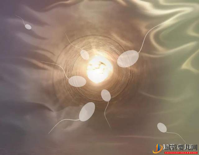 试管小白_胚胎移植的超详细过程,胚胎移植术前(图5) 试管小白_胚胎移植的超详细过程,胚胎移植术前(图5)