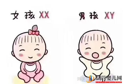 为什么选择到泰国试管(图7) 为什么选择到泰国试管(图7)