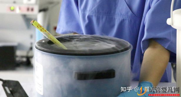 三代试管成功率是多少_以及费用多少(图1) 三代试管成功率是多少_以及费用多少(图1)