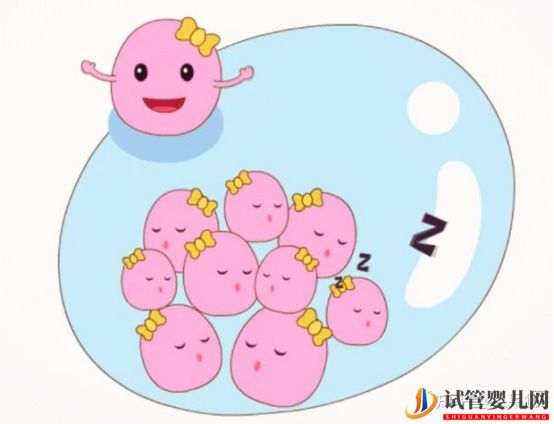 试管婴儿成功率是怎么计算的(图4) 试管婴儿成功率是怎么计算的(图4)