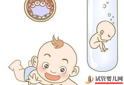 泰国试管婴儿中雌激素低情况?(图1) 泰国试管婴儿中雌激素低情况?(图1)