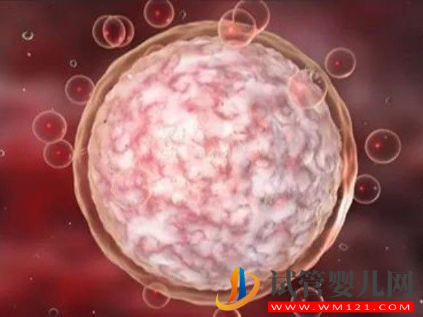 借用别人的卵泡在私立医院做试管婴儿费用多少?(图1) 借用别人的卵泡在私立医院做试管婴儿费用多少?(图1)