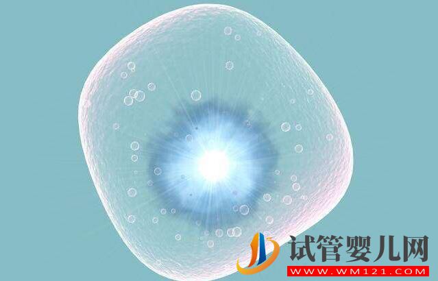 做试管婴儿整个环节有哪些?(图4) 做试管婴儿整个环节有哪些?(图4)