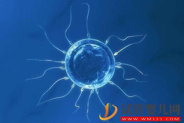 做试管婴儿整个环节有哪些?(图5) 做试管婴儿整个环节有哪些?(图5)