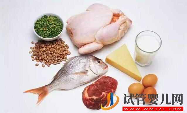 做试管婴儿为什么补充蛋白质很重要?(图1) 做试管婴儿为什么补充蛋白质很重要?(图1)