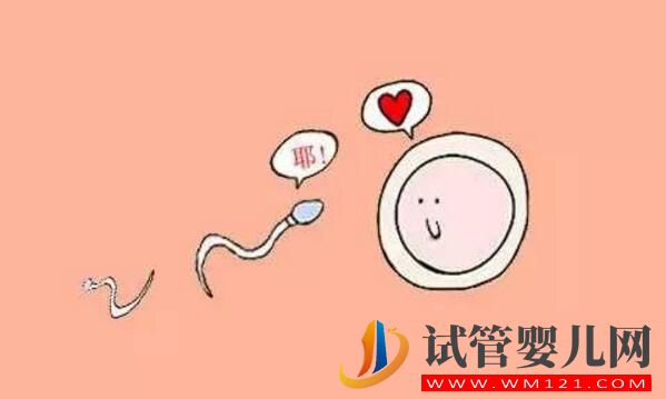 高龄生育你需要知道关于影响卵泡质量的因素(图2) 高龄生育你需要知道关于影响卵泡质量的因素(图2)