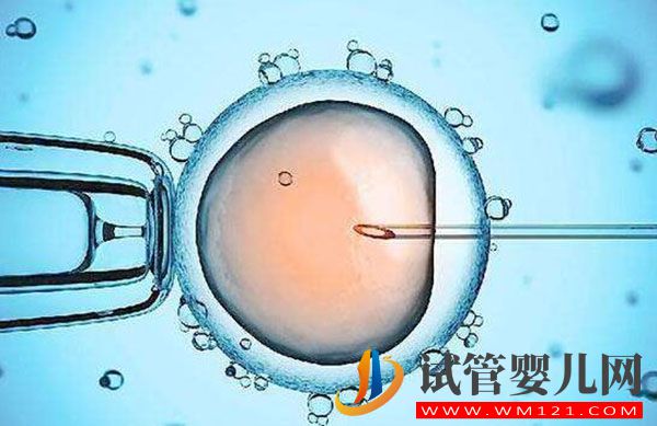 做试管婴儿的全部流程和费用 全部做完要多长时间(图1) 做试管婴儿的全部流程和费用 全部做完要多长时间(图1)