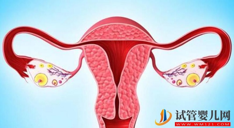 妇科疾病对于试管辅助生殖有什么影响?应该如何预防呢?(图2) 妇科疾病对于试管辅助生殖有什么影响?应该如何预防呢?(图2)