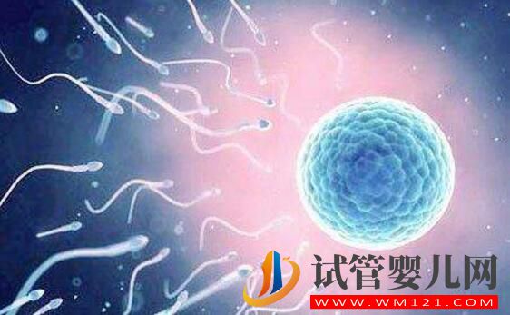 无精症可以做试管婴儿吗?对无精症的误解有哪些(图3) 无精症可以做试管婴儿吗?对无精症的误解有哪些(图3)