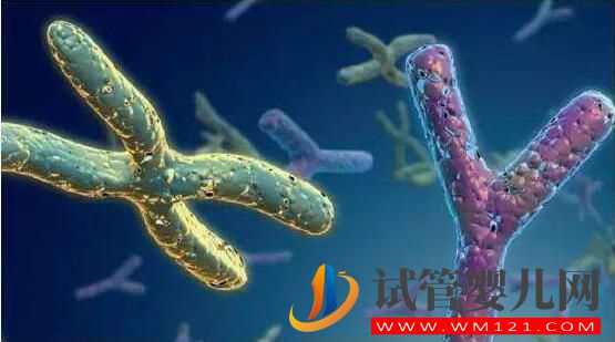 试管婴儿前染色体检查有必要做(图2) 试管婴儿前染色体检查有必要做(图2)