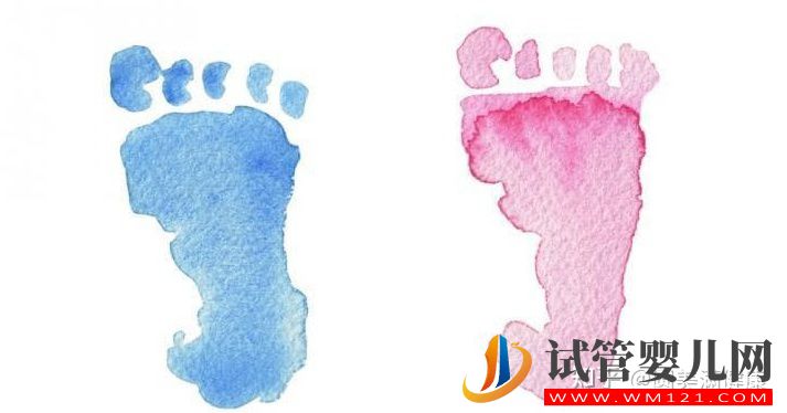 为什么做试管婴儿大部分是龙凤胎_试管知识告诉你(图1) 为什么做试管婴儿大部分是龙凤胎_试管知识告诉你(图1)