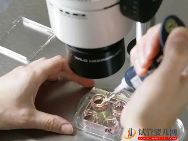 澳门正规生殖中心排行榜，2023前十名助孕机构成功率附上