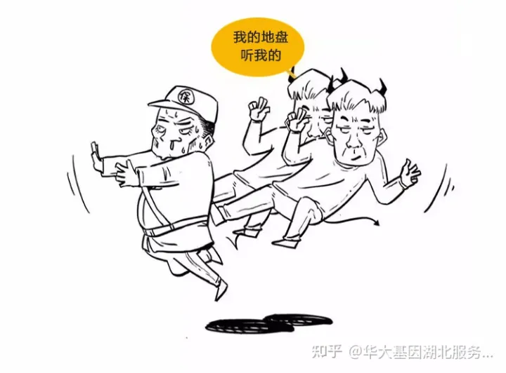 什么是干细胞?一文让你读懂!(图17) 什么是干细胞?一文让你读懂!(图11)