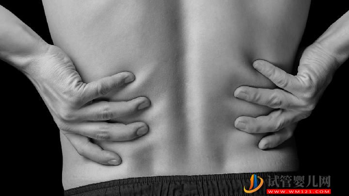 男性吃菟丝子可以壮阳吗 菟丝子怎么吃壮阳效果最好-试管婴儿网 男性吃菟丝子可以壮阳吗 菟丝子怎么吃壮阳效果最好(图1)