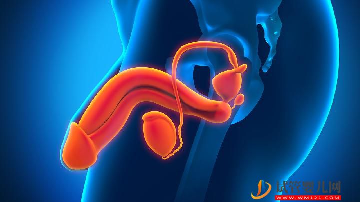男性阴茎中线囊肿是怎么回事 男性阴茎中线囊肿的4个诊断要点-试管婴儿网 男性阴茎中线囊肿是怎么回事 男性阴茎中线囊肿的4个诊断要点(图1)