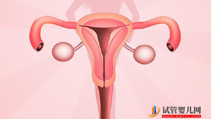 月经前后哪几天为女性的安全期?详解女性月经安全期的生理常识-试管婴儿网 月经前后哪几天为女性的安全期?详解女性月经安全期的生理常识(图1)