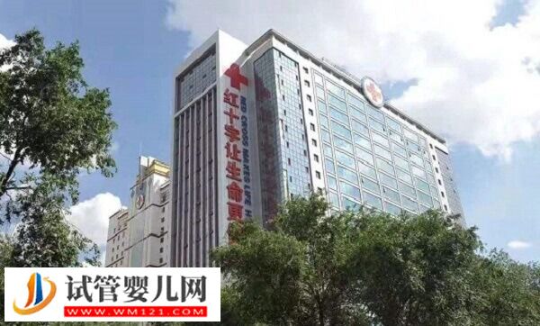 青海红十字医院一代试管婴儿多少钱