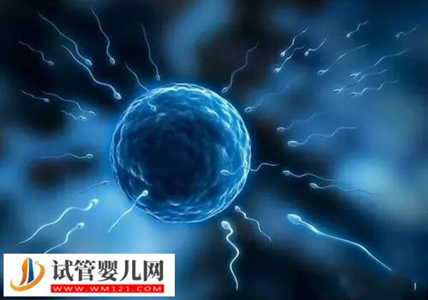 人工授精的危害有哪些(图1) 人工授精的危害有哪些(图1)