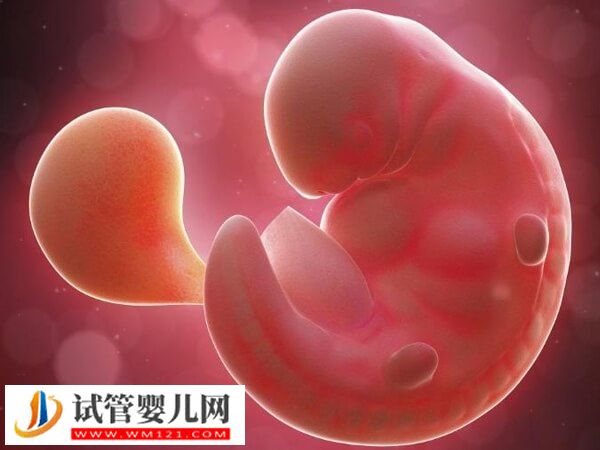 试管婴儿8到10周出现胎停的原因是什么(图2) 试管婴儿8到10周出现胎停的原因是什么(图2)