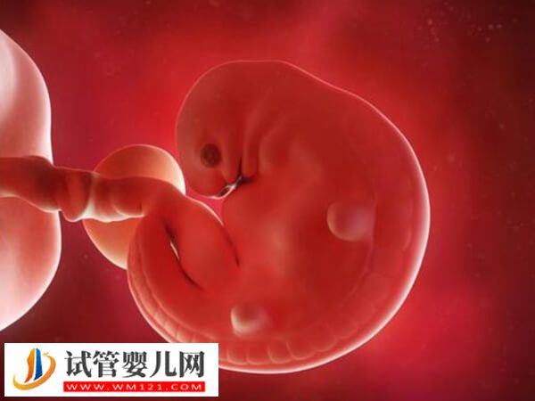 试管婴儿8到10周出现胎停的原因是什么(图1) 试管婴儿8到10周出现胎停的原因是什么(图1)