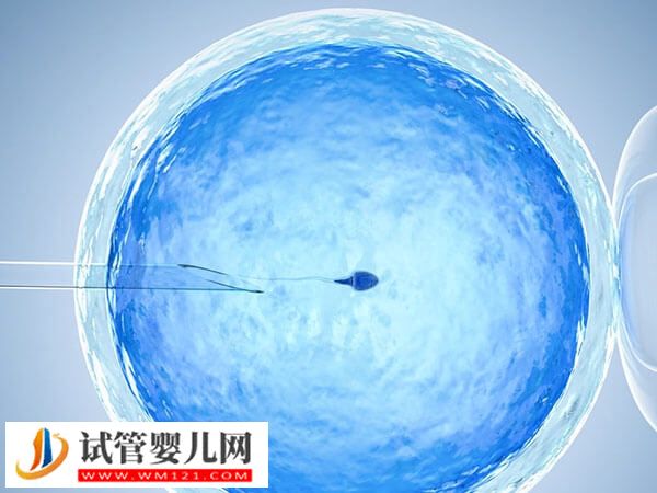 女性闭经能不能做试管婴儿(图1) 女性闭经能不能做试管婴儿(图1)