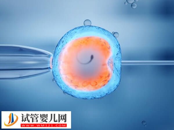 一代试管婴儿成功率高不高(图1) 一代试管婴儿成功率高不高(图1)