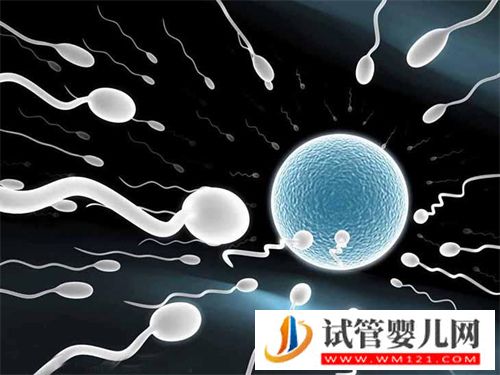 如何通过正规渠道购买精子库精子?(图2) 如何通过正规渠道购买精子库精子?(图2)