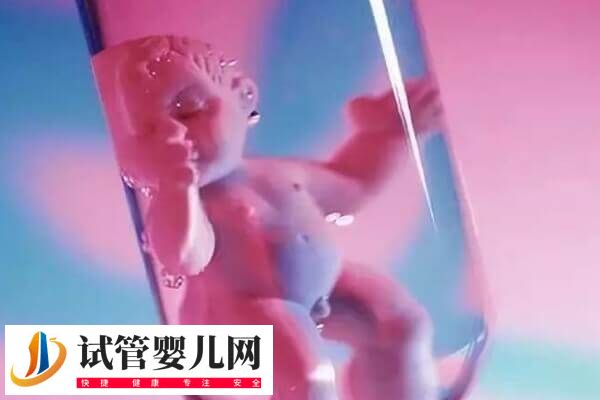 做试管婴儿3万元够不够(图1) 做试管婴儿3万元够不够(图1)