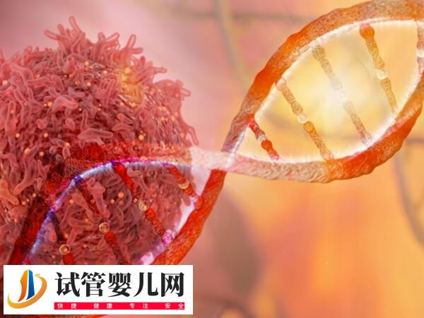 试管婴儿染色体异常的原因是什么(图1)