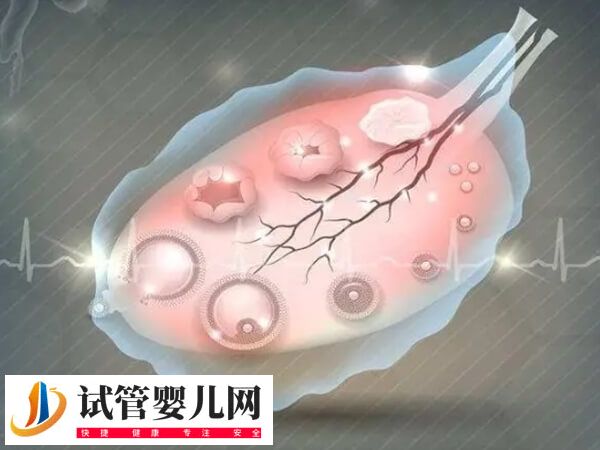 amh5.38算不算正常(图1) amh5.38算不算正常(图1)