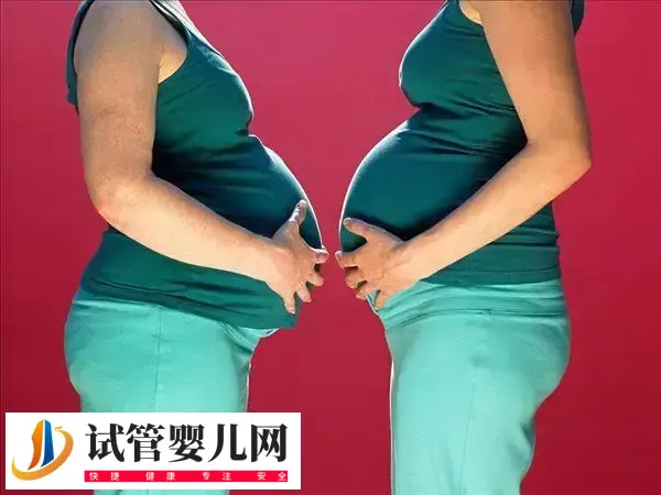 试管婴儿生双胞胎流程是什么(图1) 试管婴儿生双胞胎流程是什么(图1)