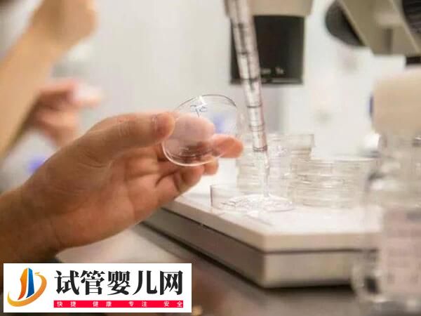 一代试管需要多久完成(图1) 一代试管需要多久完成(图1)