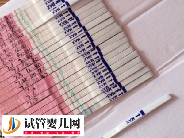 胚胎移植后第10天测不到是什么情况(图1)