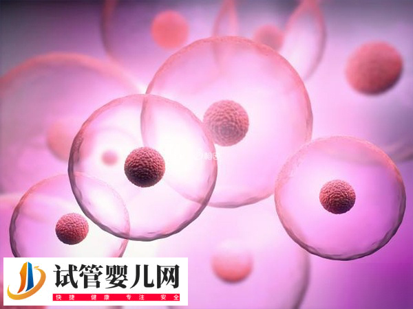 哪个国家可以做第四代试管婴儿(图1) 哪个国家可以做第四代试管婴儿(图1)