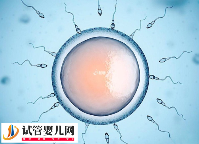 哪个国家可以做第四代试管婴儿(图3) 哪个国家可以做第四代试管婴儿(图3)