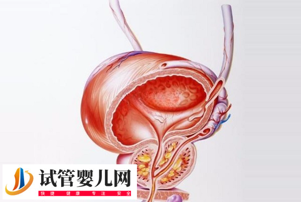 飞机杯取精做试管婴儿有危险不(图2)