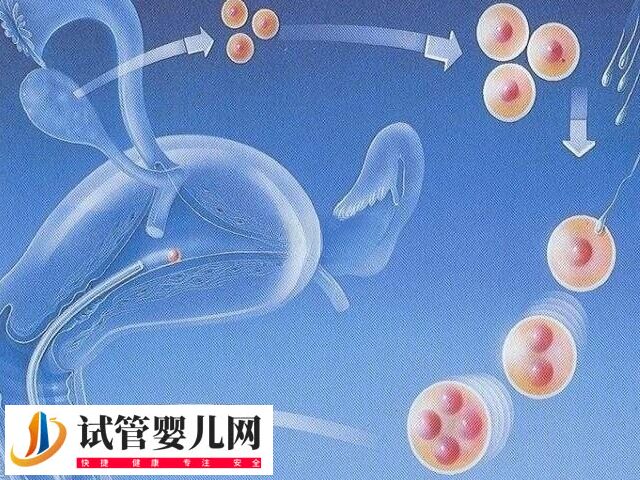 试管婴儿不适用于哪些人(图1)