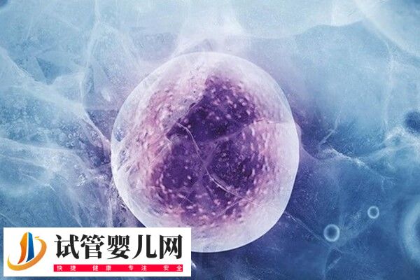 试管为什么只给放一个胚胎(图1)