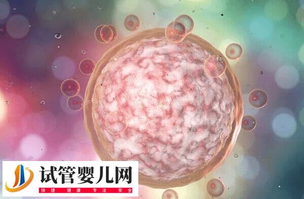 移植两个胚胎为什么只一个成功(图1)