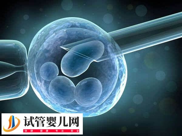 移植胚胎碎片率高会怎么样(图2)