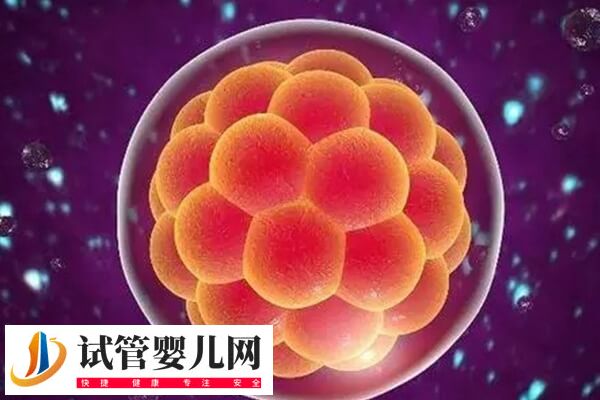 囊胚移植着床后有什么症状(图2)