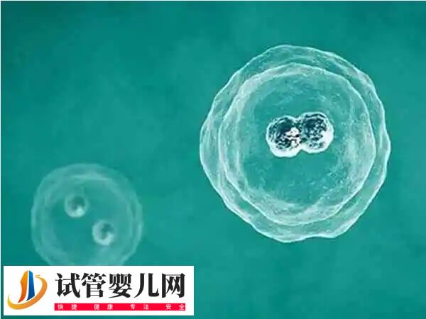 囊胚移植着床后有什么症状(图3)