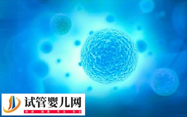 4bc囊胚移植成功率高不高(图1)