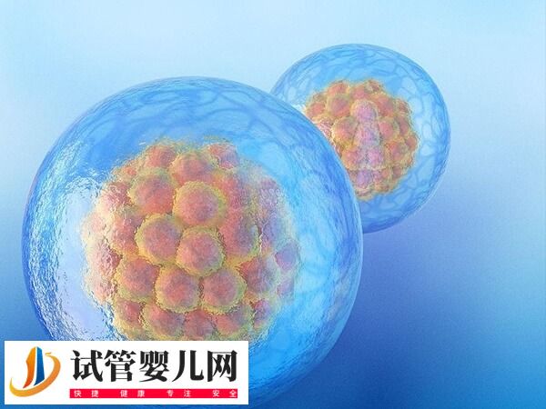 自然周期囊胚移植流程是怎样的(图2)