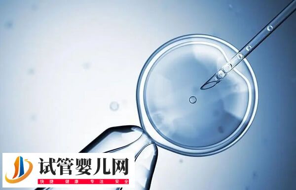 鲜胚和囊胚哪个更适合进行移植(图1)