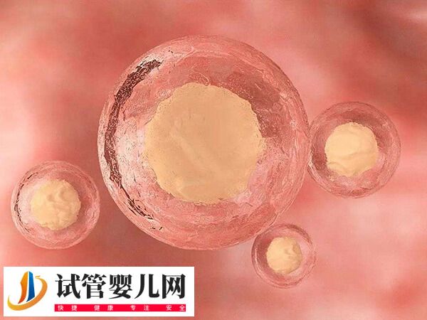 胚胎移植第21天可不可以做b超(图1)