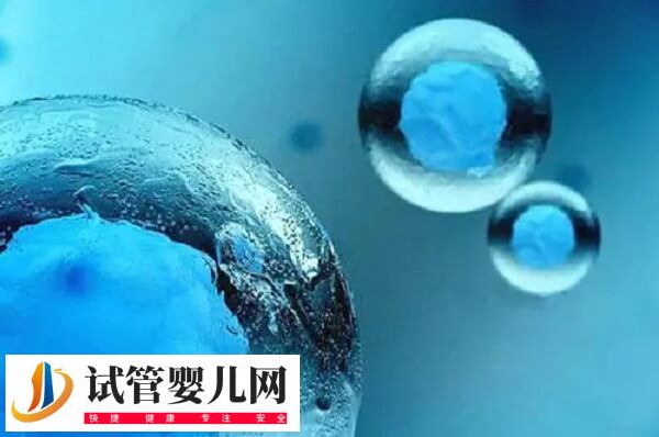 体外培养7天的囊胚质量怎么样(图2)