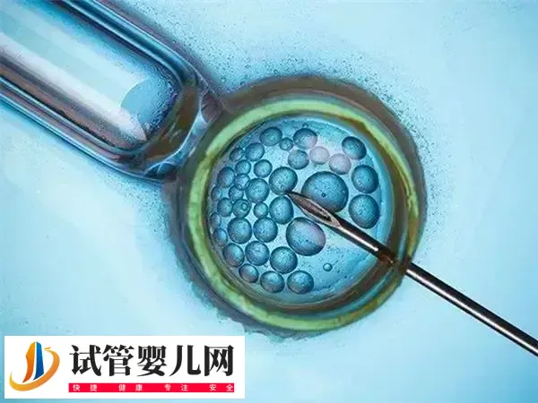 冻胚移植后能不能运动健身(图2)